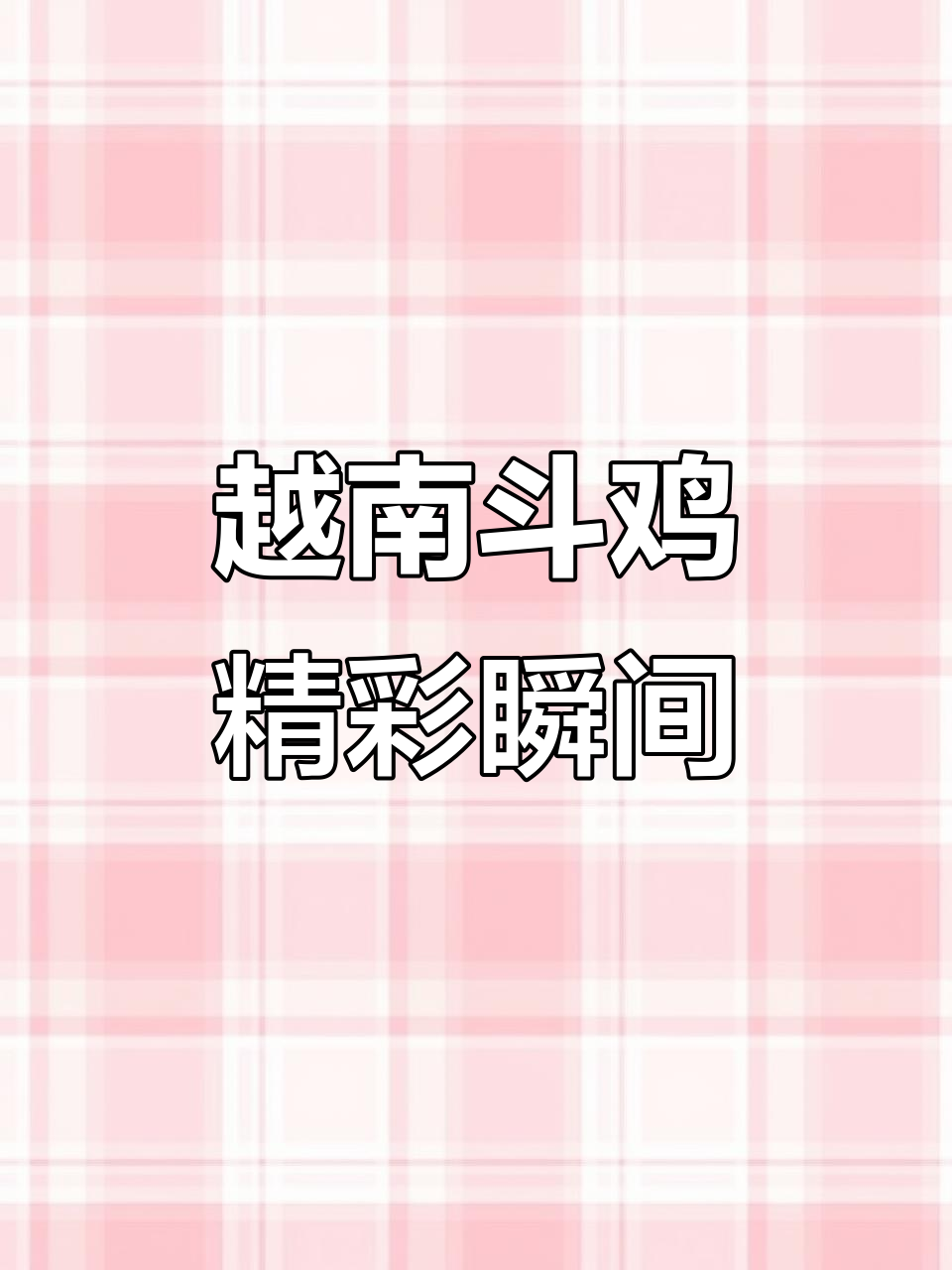 越南斗鸡大比拼，七斤龙鳞角打腿震撼登场