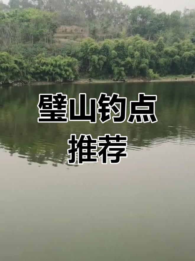 壁山免费钓鱼点,大鱼连连!