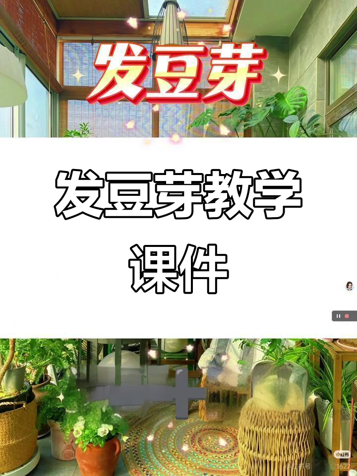 《发豆芽》课程教案与演示