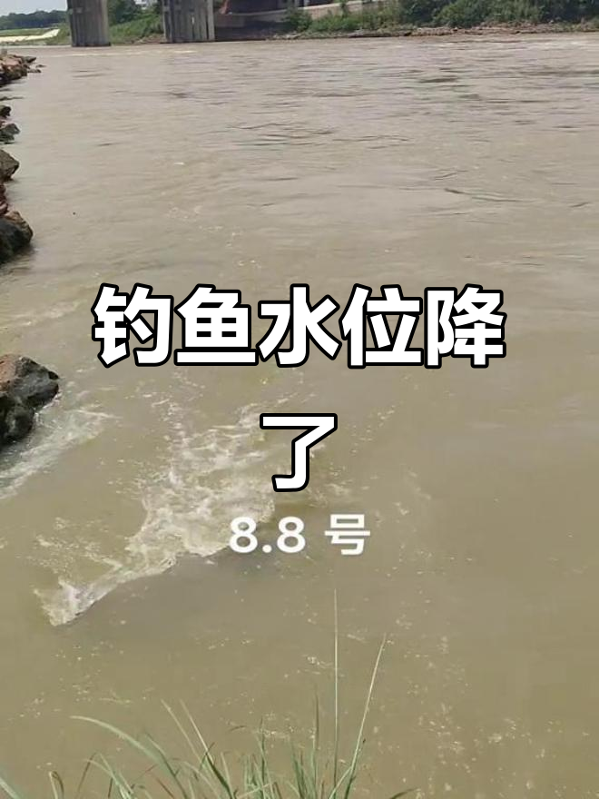 水位下降,钓无鳞鱼更轻松