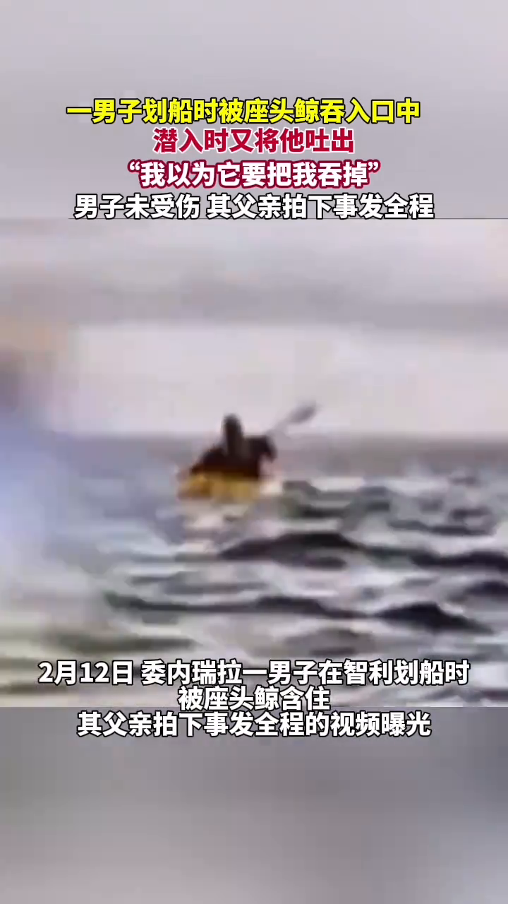 一男子划船时被座头鲸吞入口中潜水时又将他吐出