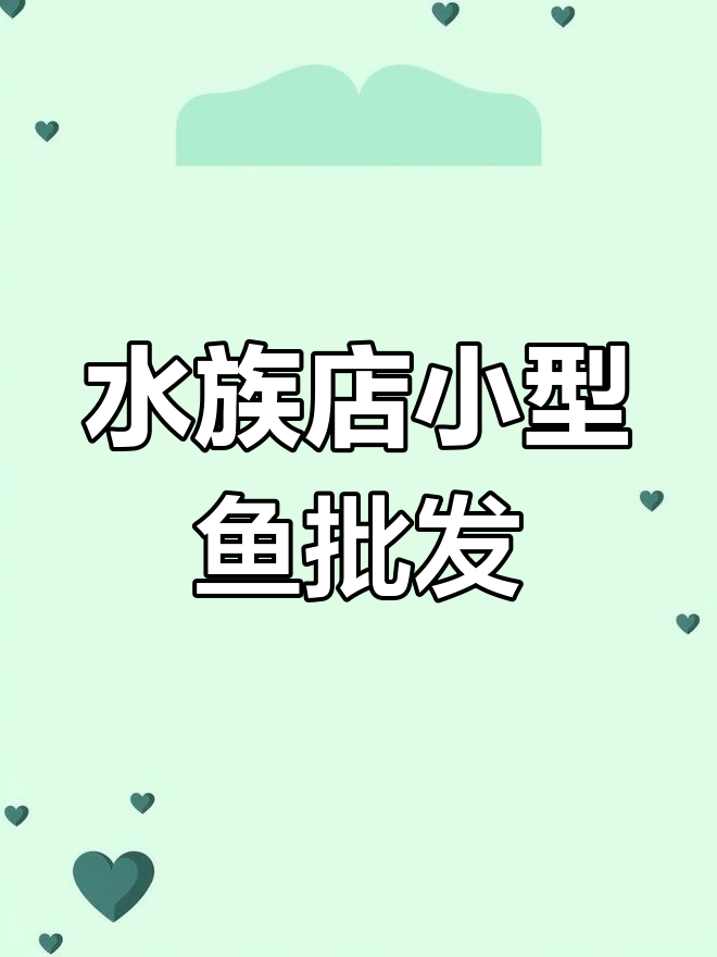 小型观赏鱼品种大揭秘,水族店进货超便宜!