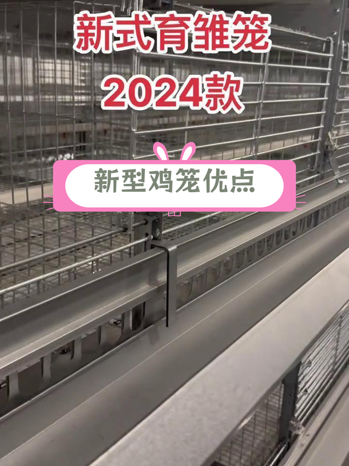 新式育雏笼设计优势解析