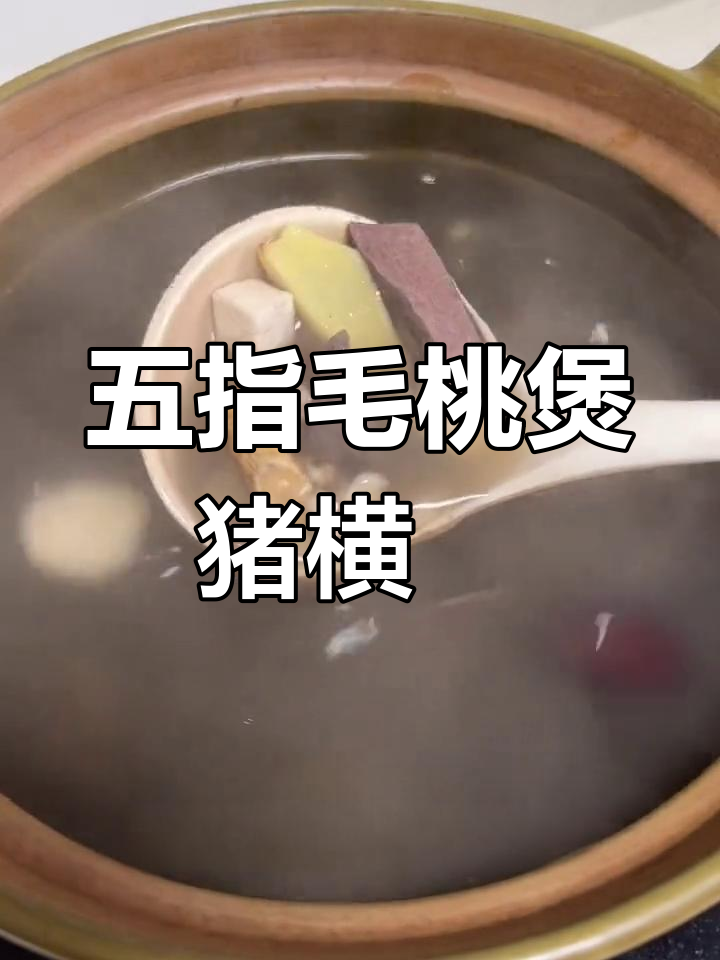 春季祛湿汤推荐:猪横脷五指毛桃搭配
