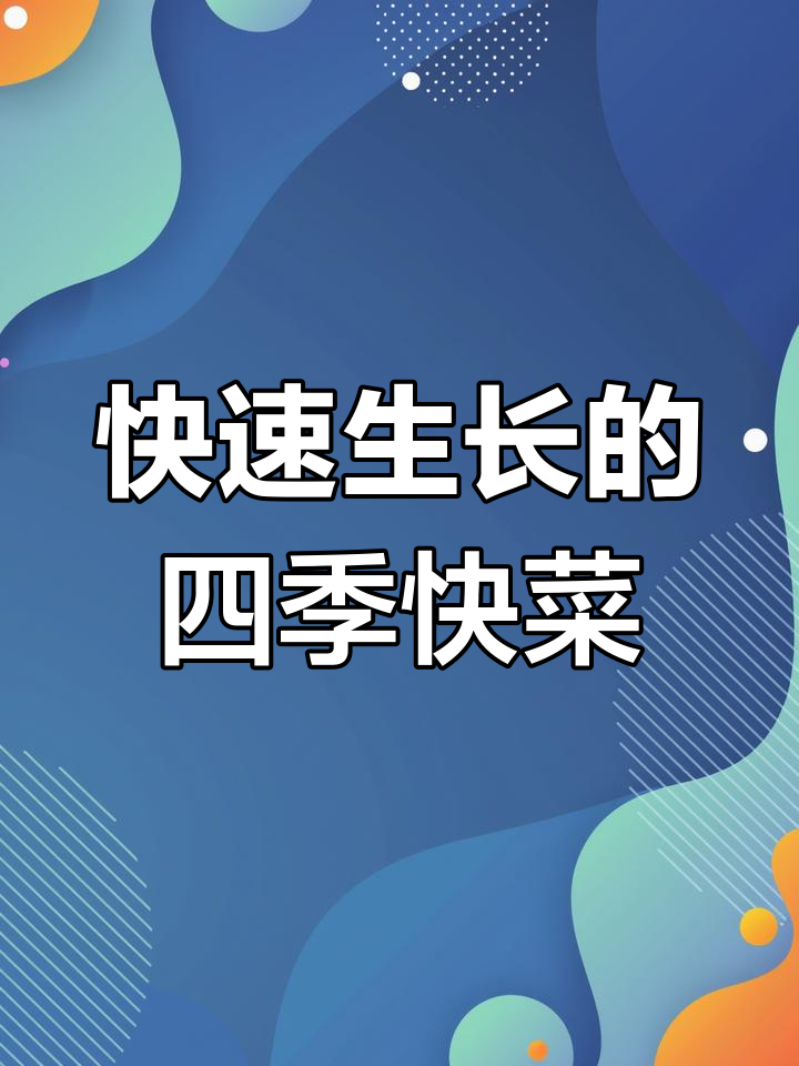 快菜四季可种,二十天就能收获美味蔬菜