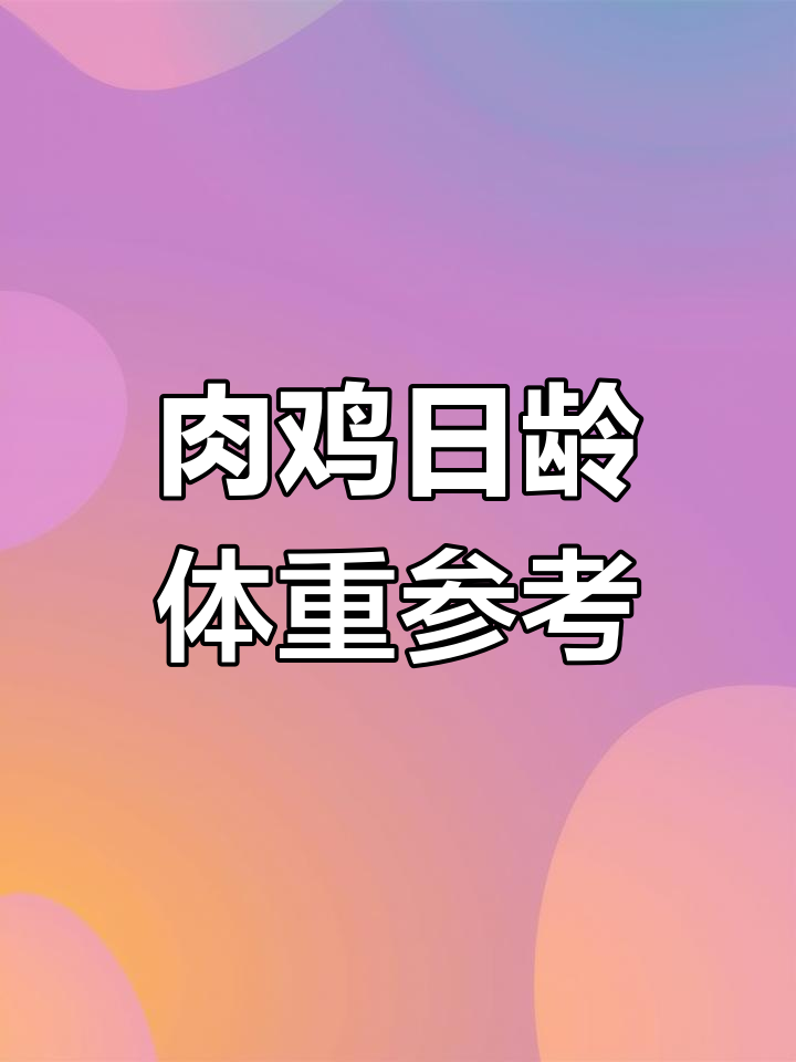 白羽肉鸡养殖各阶段体重标准，确保达标才能养出好鸡