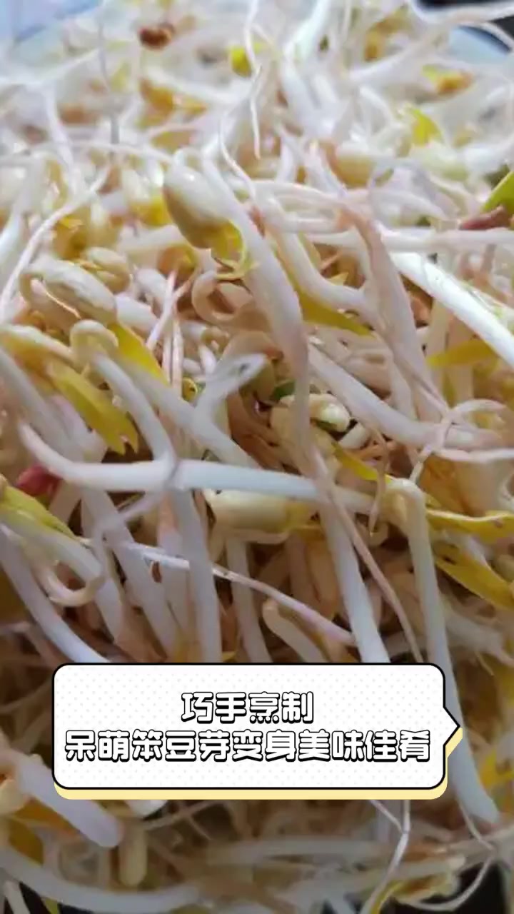 巧手烹制,呆萌笨豆芽变身美味佳肴