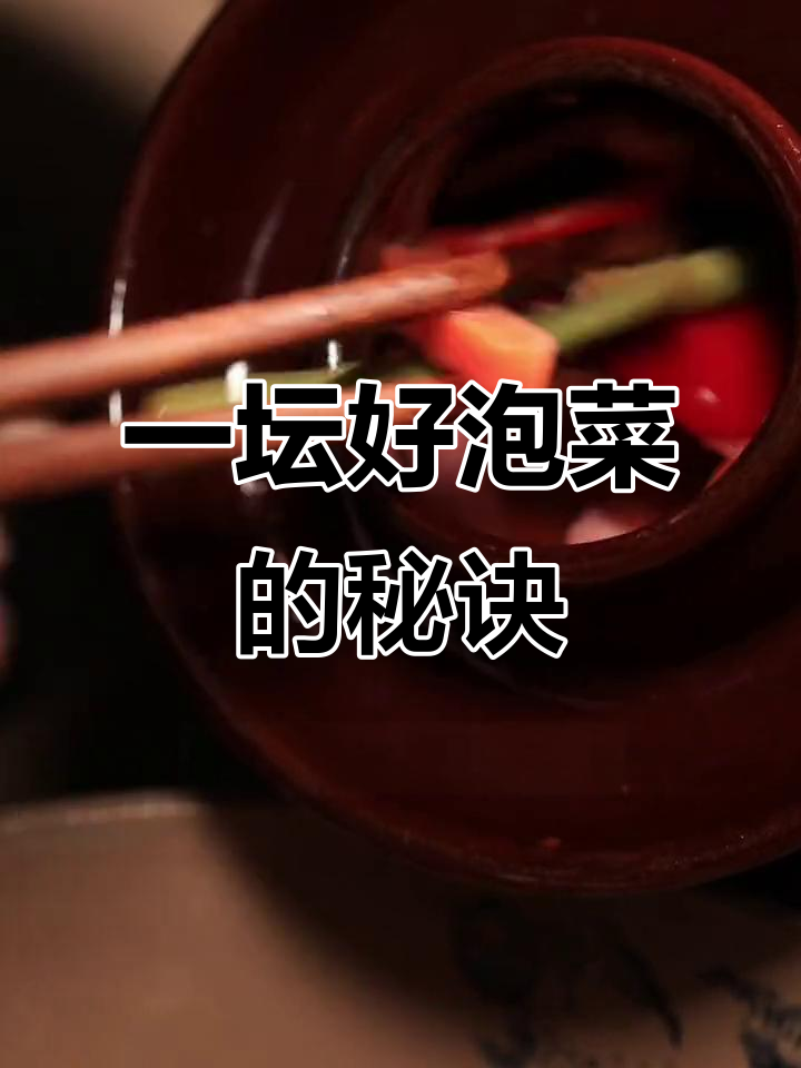 四川泡菜母水,酸脆爽口,轻松搞定!