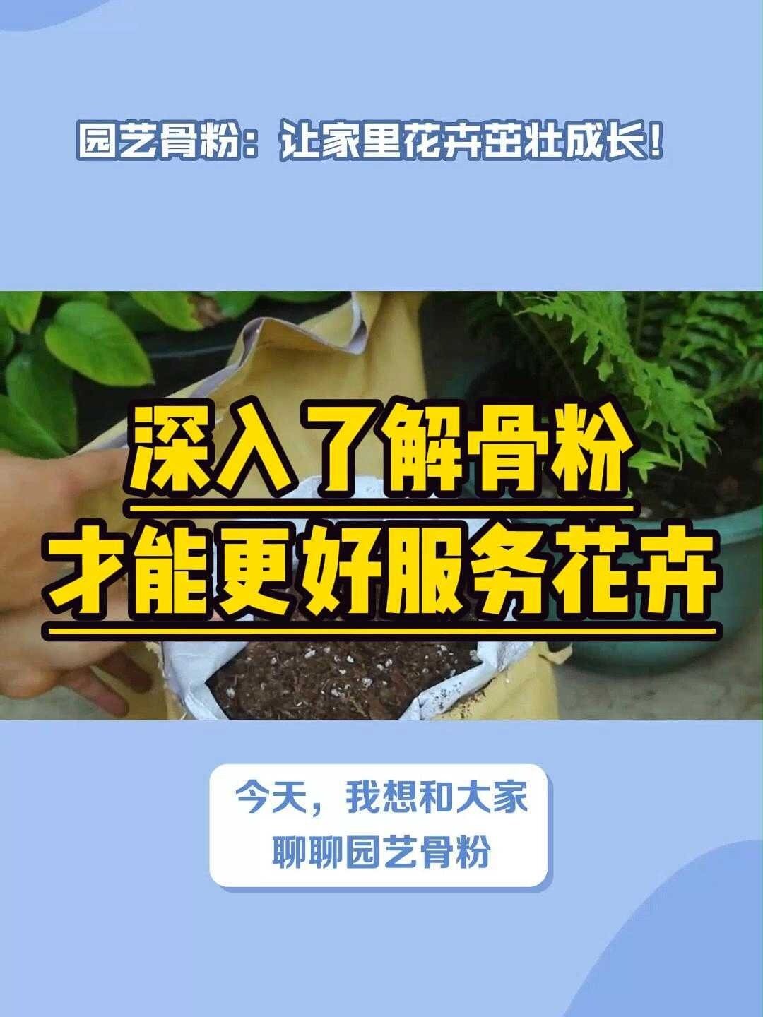 园艺骨粉到底有什么作用?今天就教给你!
