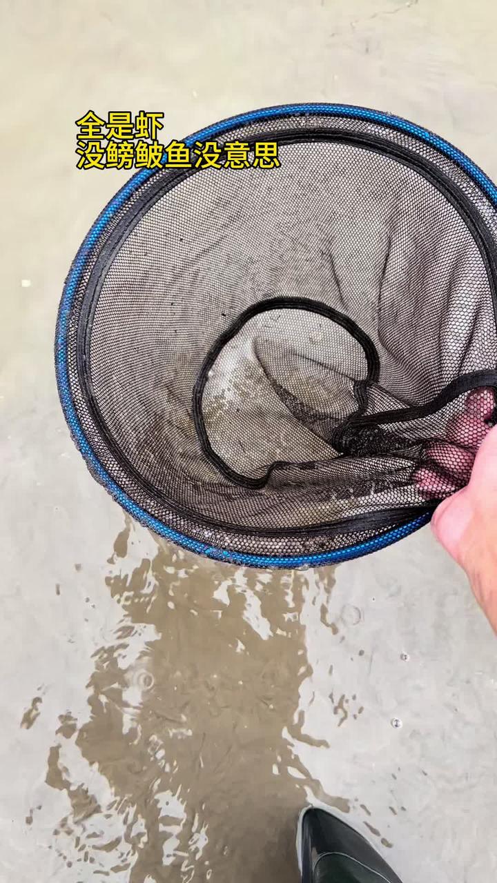 本想抓点鳑鲏鱼喂鱼缸里结果全是虾