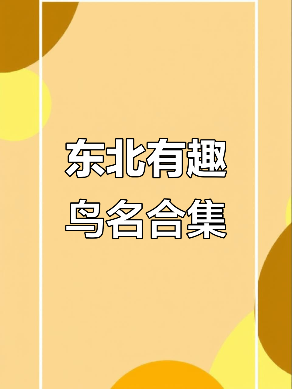 东北那些有趣的鸟名,看看你听过几个?