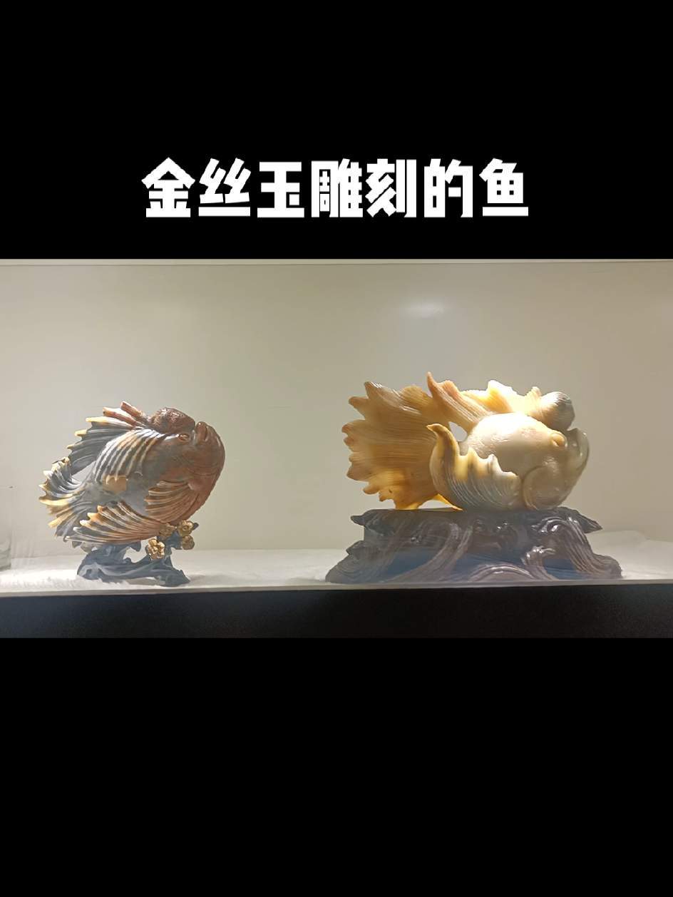 56只用金丝玉雕刻的鱼,形态各异、色彩斑斓。工艺品摆件 天然玉石摆件 奇石文化传播 手工雕