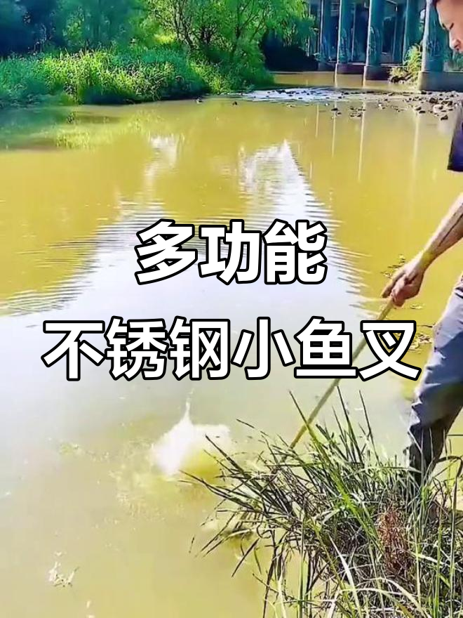 不锈钢多齿鱼叉,轻松捕捞美味鲜美