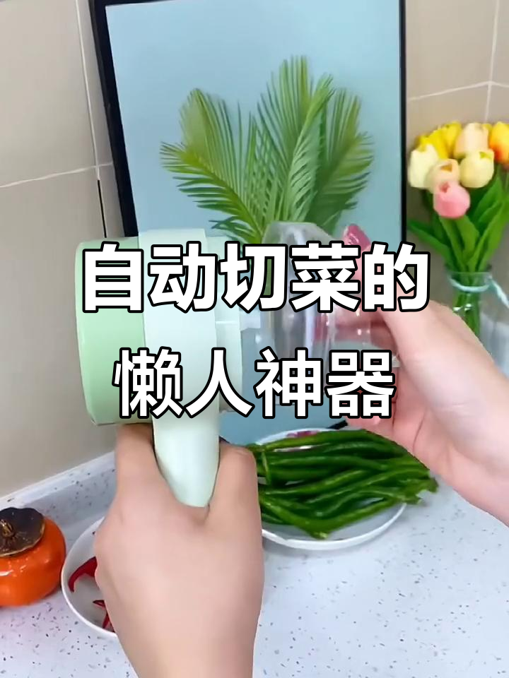 电动切菜器,轻松搞定厨房工作!多功能设计省力又高效