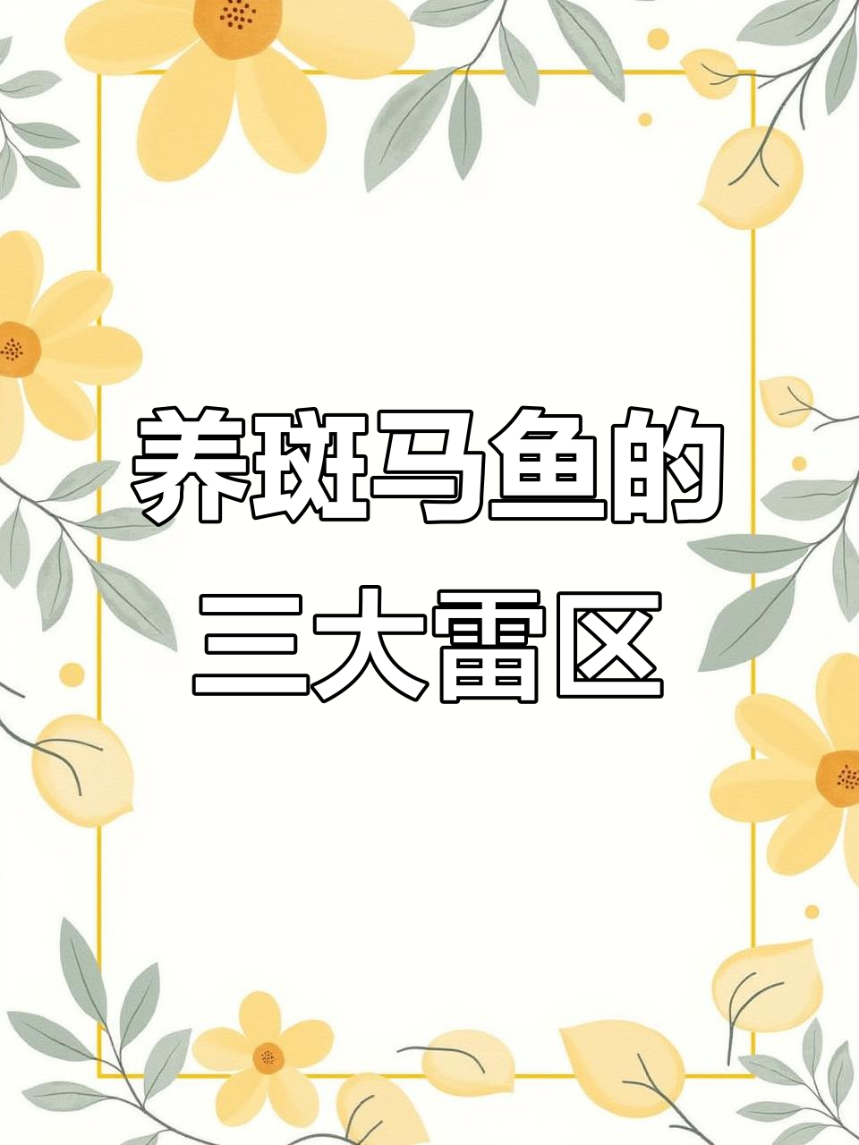 斑马鱼养殖三大禁忌，避免这些新手也能轻松养好