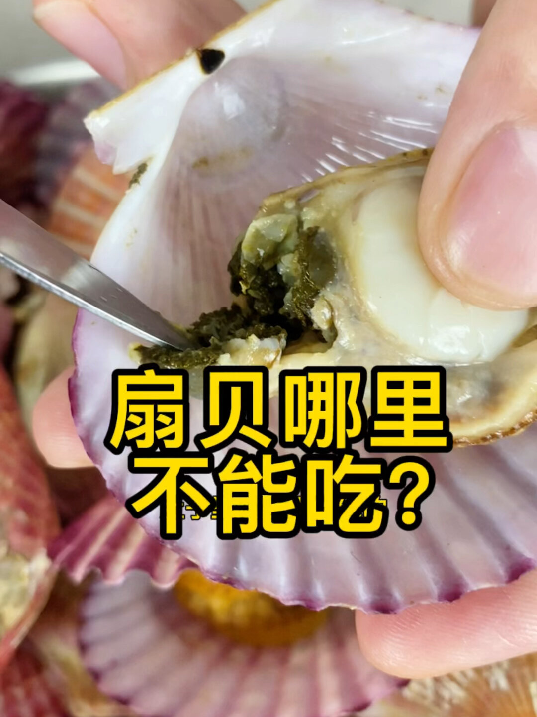 扇贝哪里不能吃?