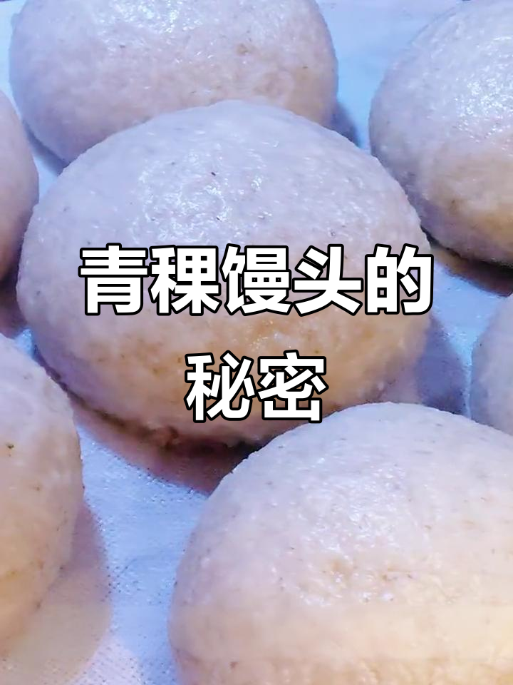 用青稞做馒头,豆浆机助力发酵,味道超赞!
