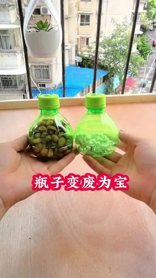 饮料瓶变废为宝制作收纳盒 废物利用 手工制作 手工
