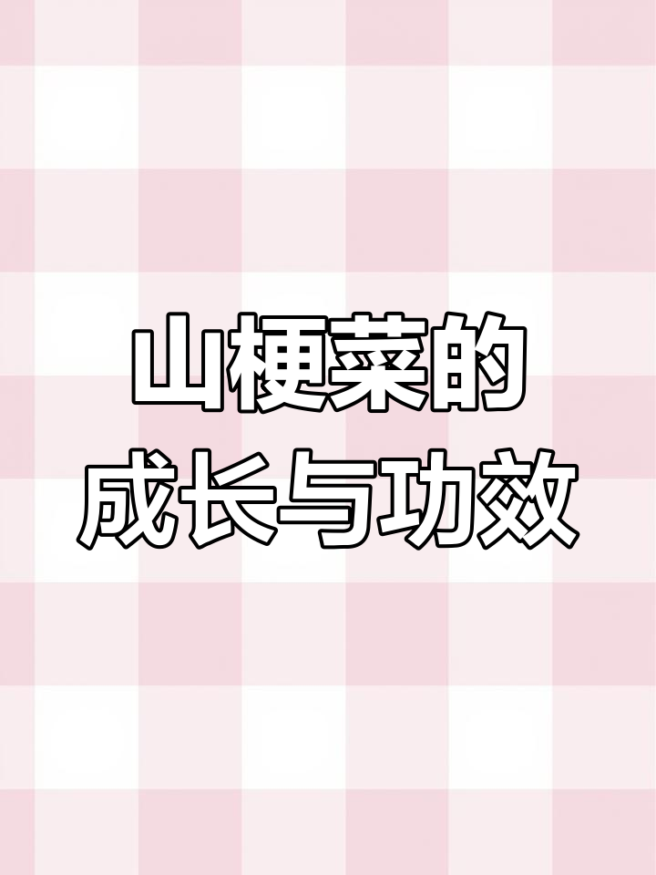 西南山梗菜:从婆叫喇卜到高草本,药用价值丰富