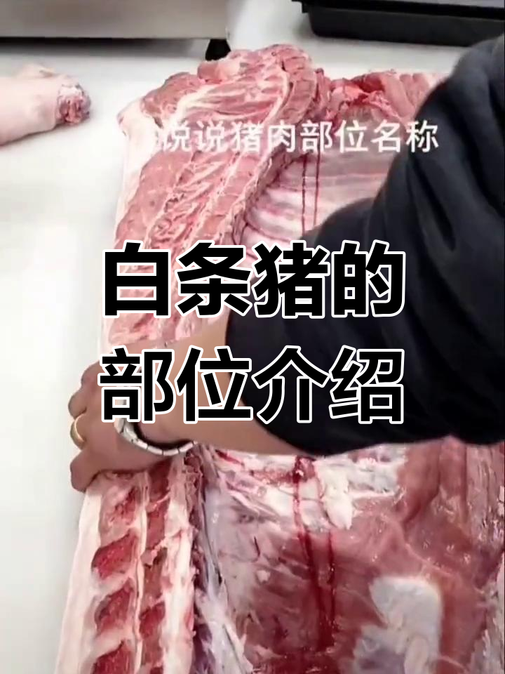 猪肉各部位名称解析
