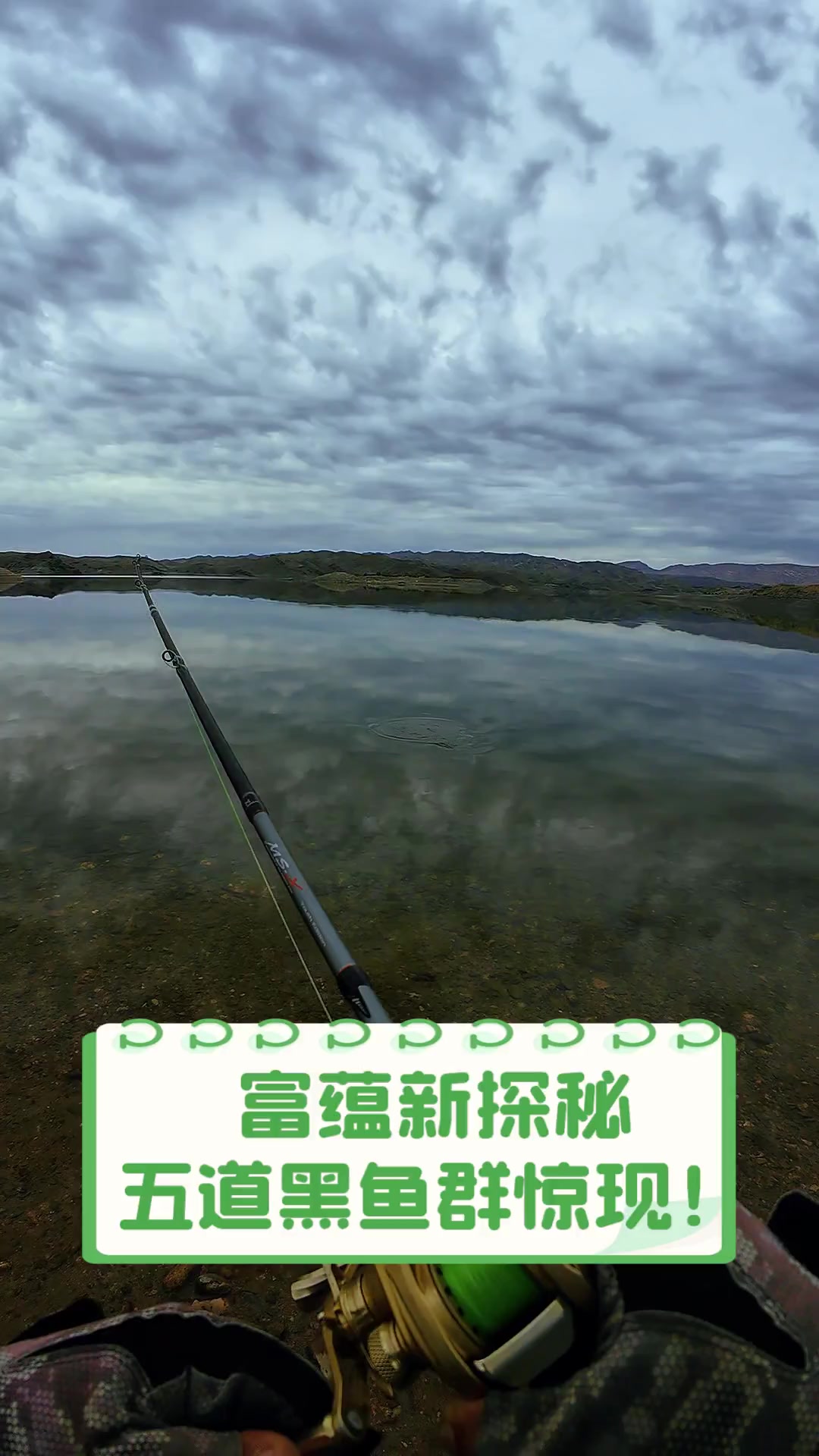 富蕴新探秘,五道黑鱼群惊现!