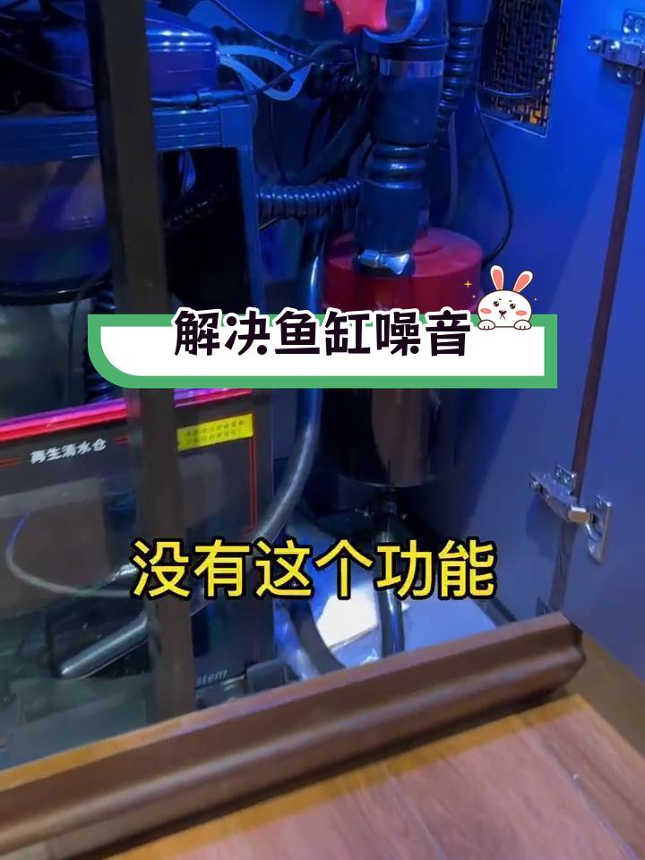 鱼缸噪音解决方案,三招搞定