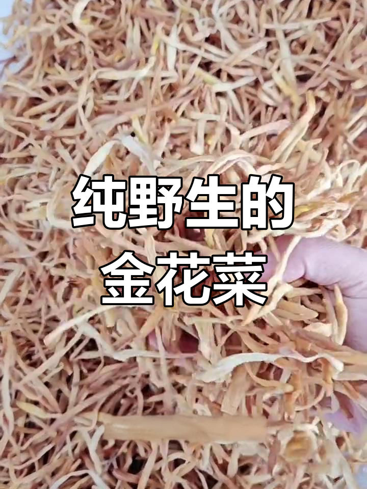 东北野生黄花菜,煲汤炖肉素炒包馅都美味