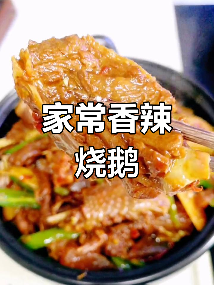 酸萝卜仔姜烧鹅,香辣美味,家常做法超简单