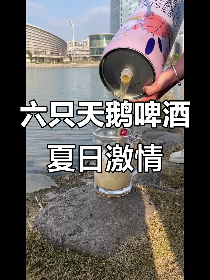 盛夏的青春,六只天鹅啤酒带来的热情与梦想