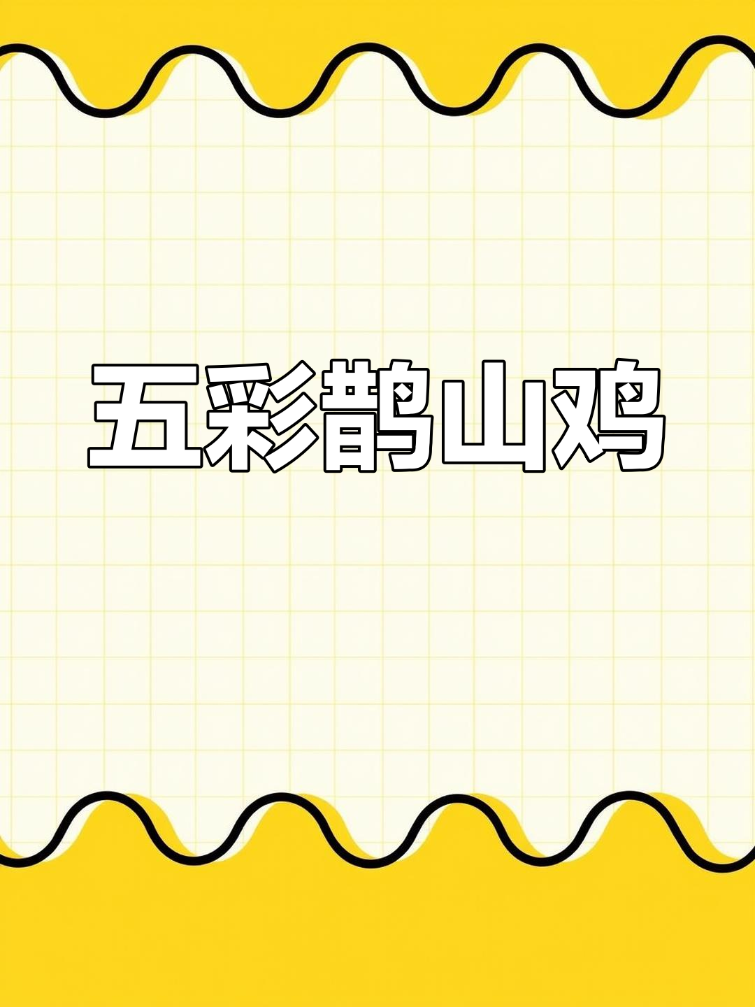 2024年最火土鸡,五彩斑斓的鹊山鸡苗来袭