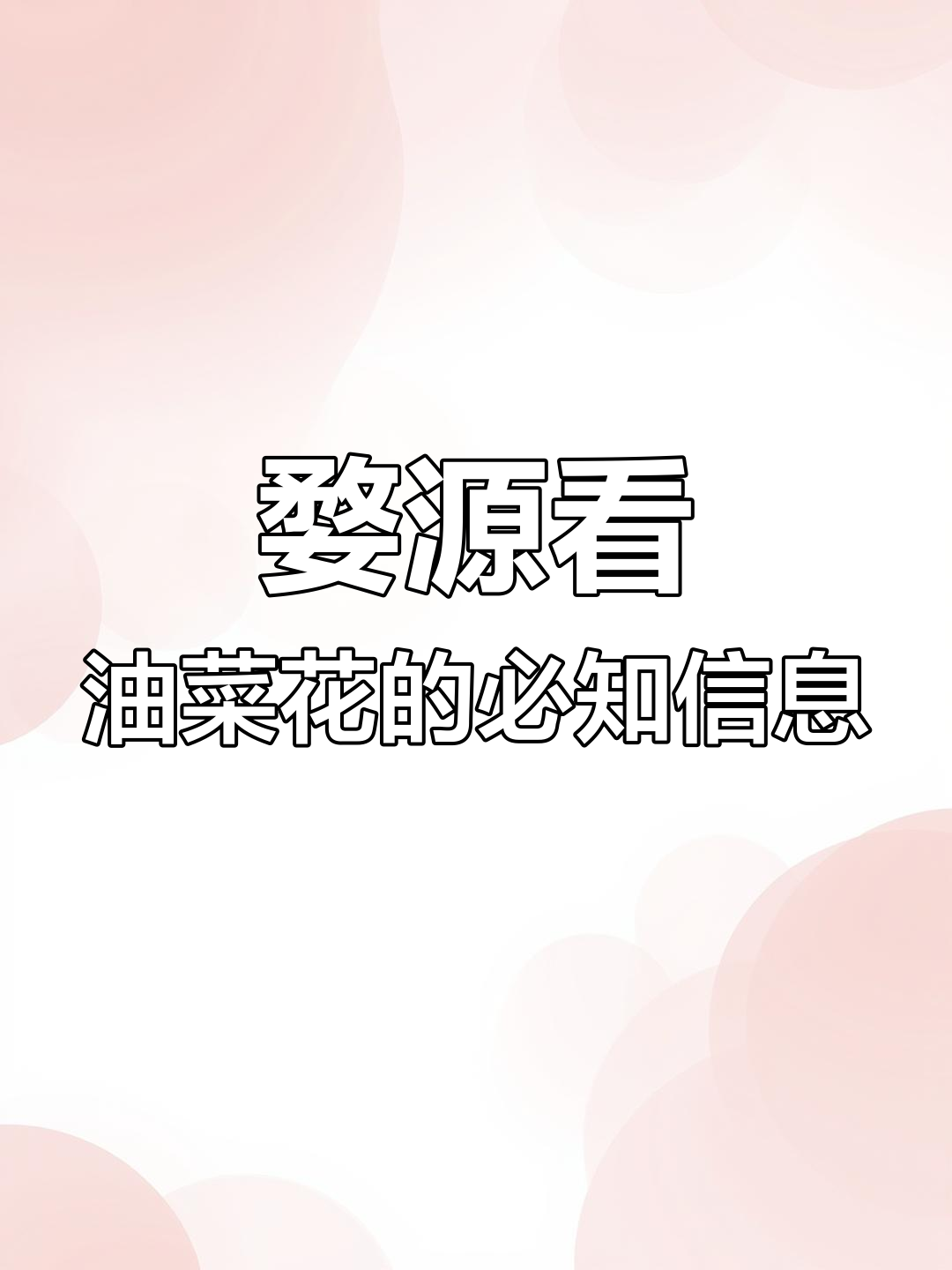 婺源油菜花全攻略：最佳观赏地点与旅游建议