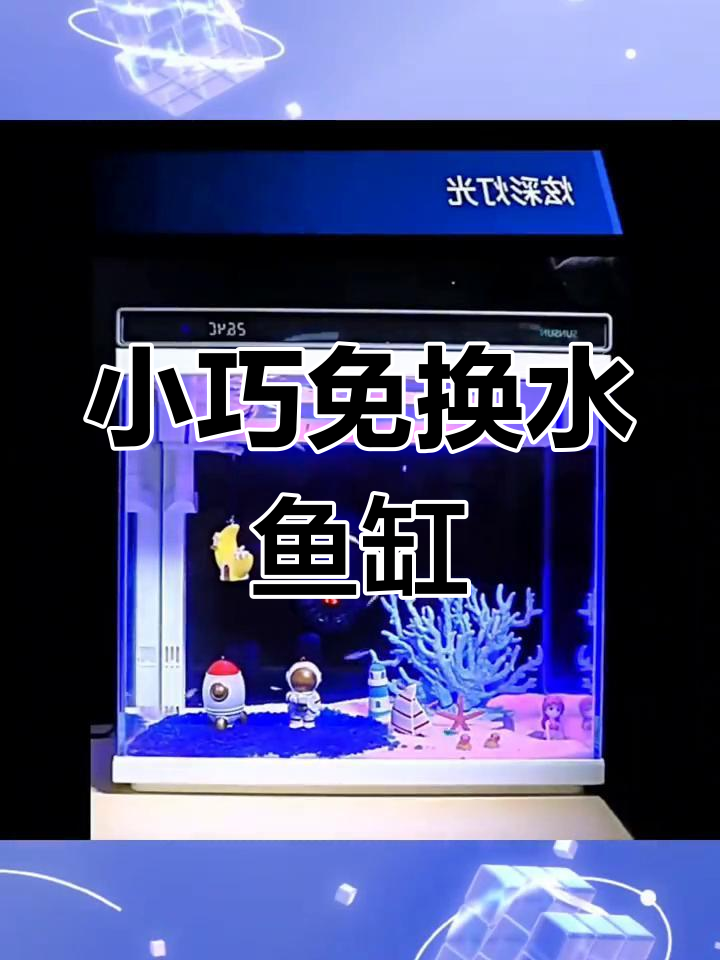 免换水小鱼缸,增氧设计,适合桌面观赏小金鱼