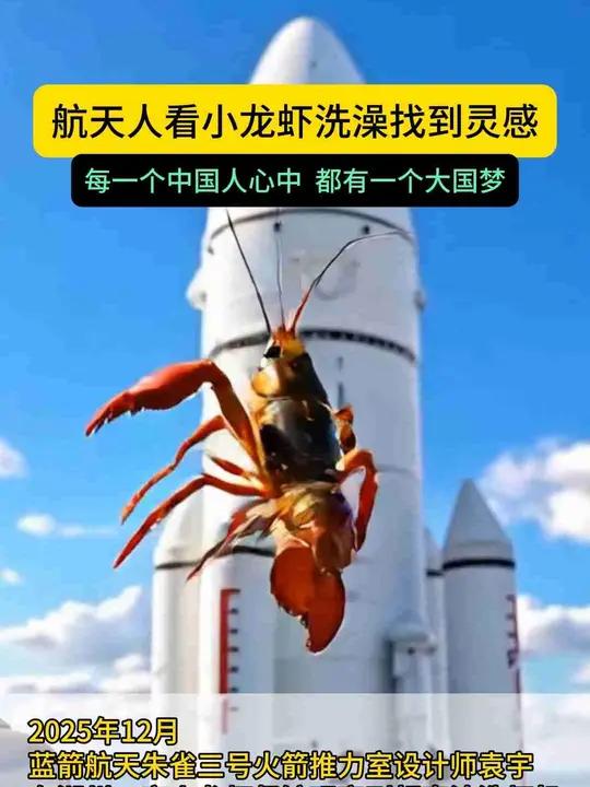 航天人看小龙虾洗澡找到灵感 每一个中国人心中 都有一个大国梦航天人看小龙虾洗澡找到灵感中国