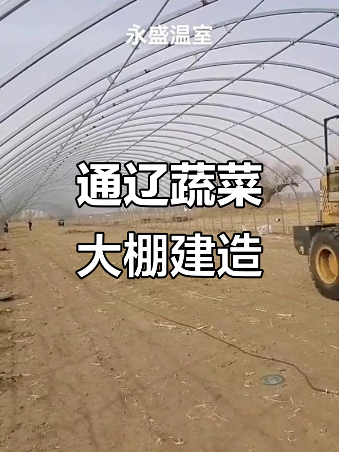 内蒙古通辽蔬菜大棚设计,全钢架结构稳固耐用