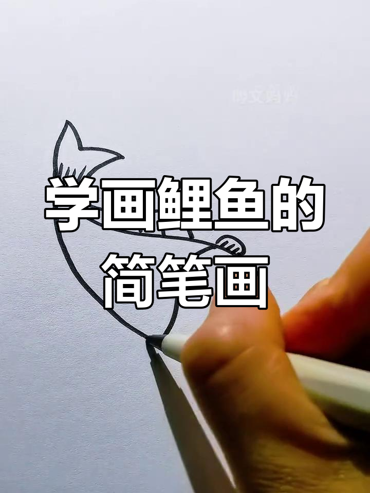 轻松画出可爱鲤鱼,步骤简单又有趣