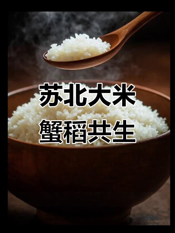 苏北稻田蟹米,绿色生态的珍珠米饭