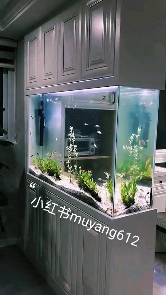 客厅隔断鱼缸屏风设计 三面观赏观赏价值高