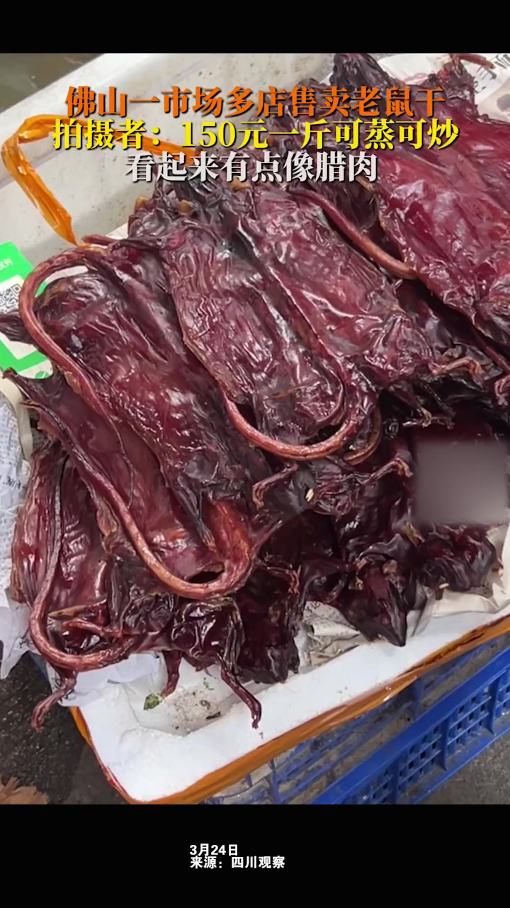 广东佛山市场老鼠干150元一斤,视频拍摄者:看起来像腊肉,蒸炒都可以