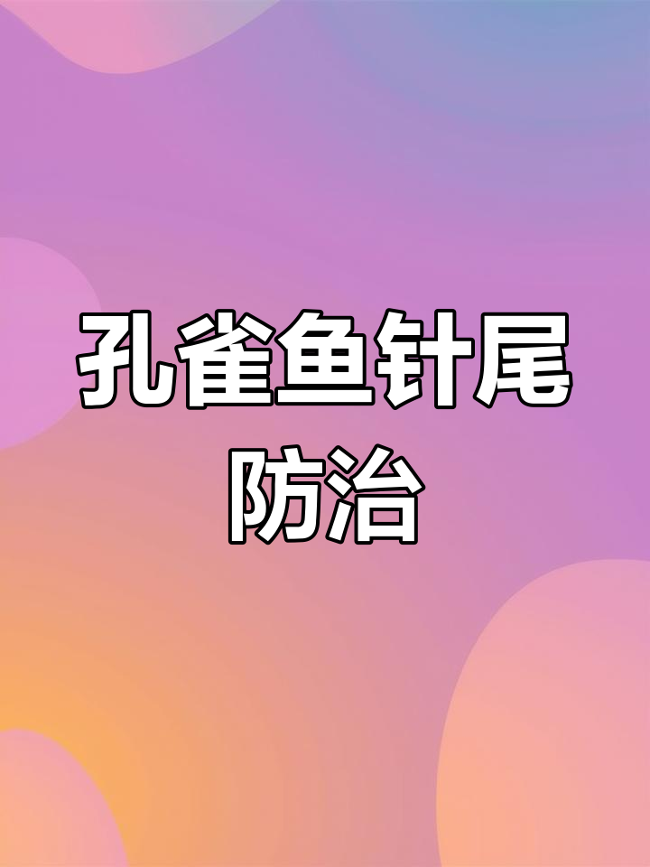 孔雀鱼针尾病能自愈?教你轻松应对,避免用药!