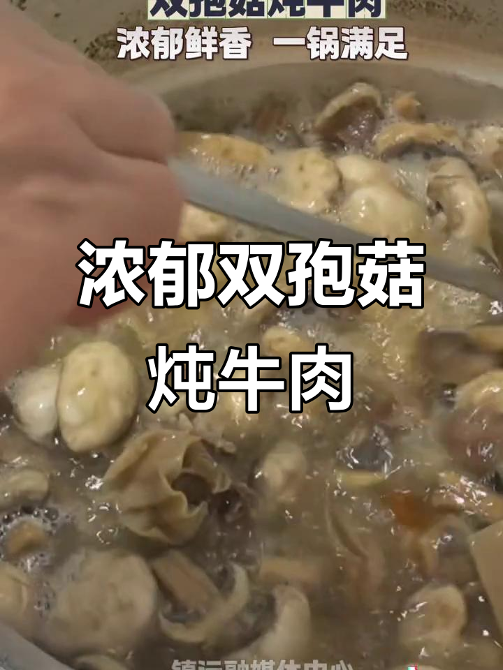 双孢菇与牛肉炖煮,汤浓味美,肉质酥烂,口感丰富