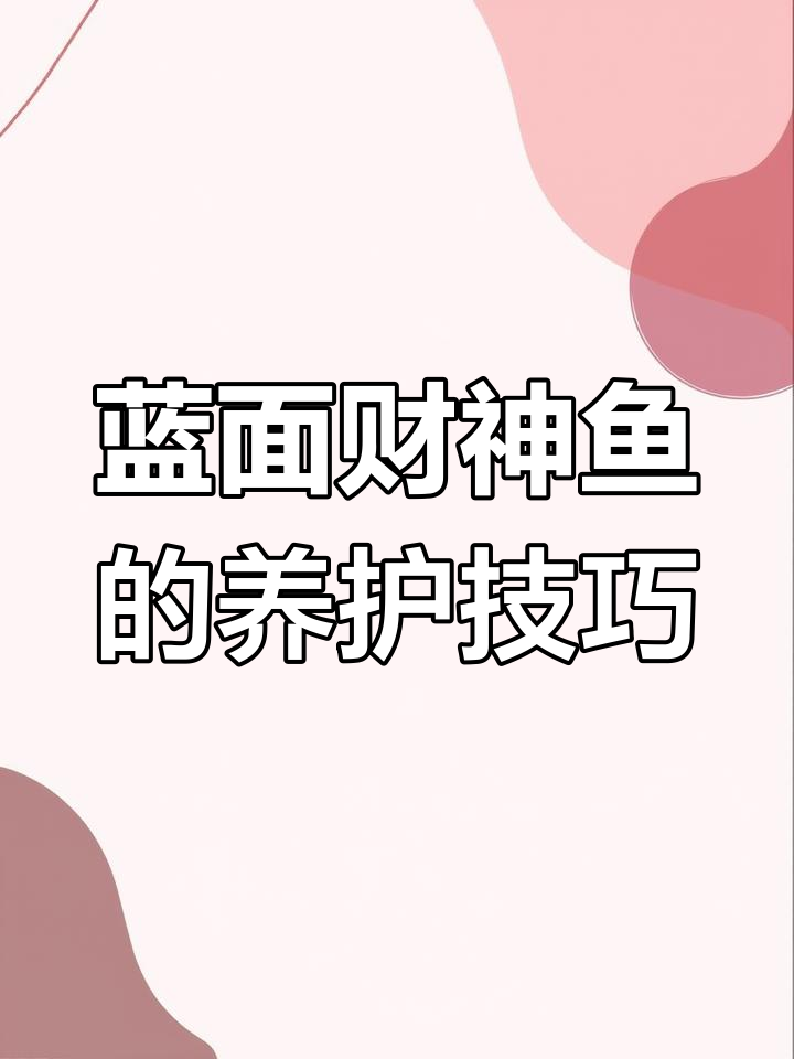 蓝面财神鱼:非洲三大湖的瑰宝
