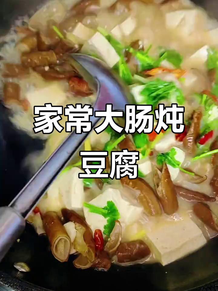 大肠炖豆腐,家常美味轻松做