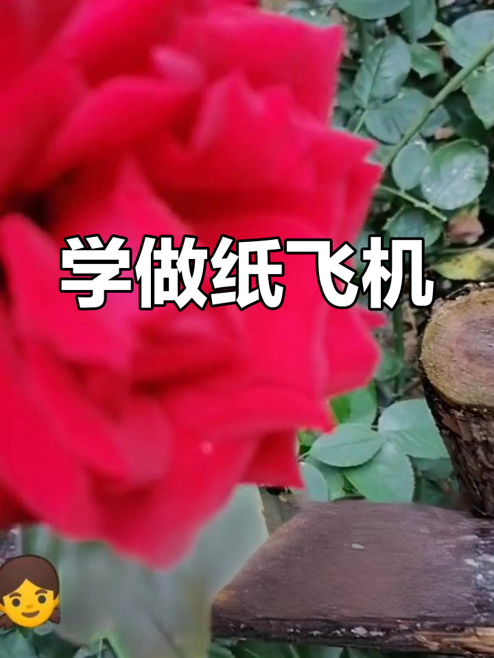 天气好,小姐姐折纸飞机