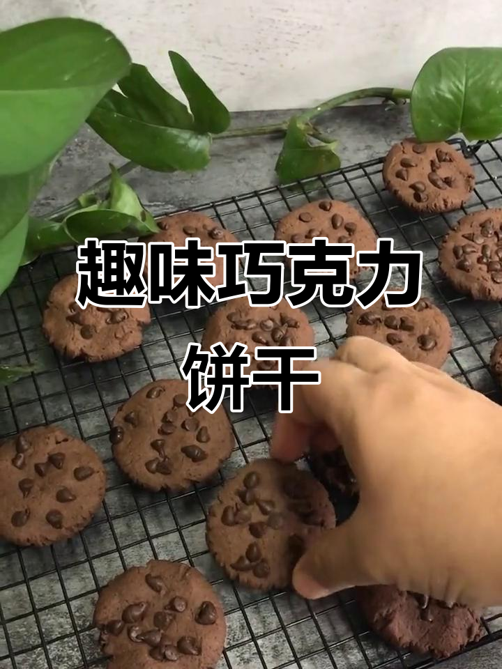 轻松做趣多多，香酥可口，巧克力味十足！