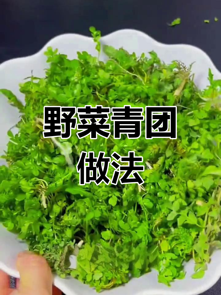 3月荠菜鸡蛋饺子,鲜香四溢的春天味道