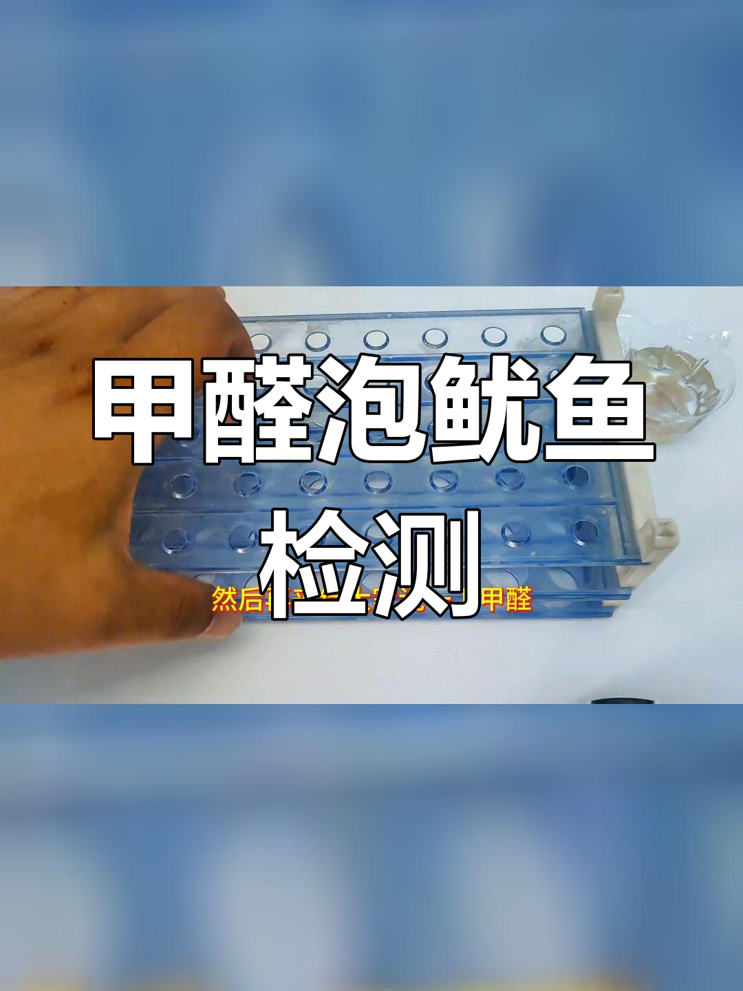 鱿鱼是否用甲醛泡过?实验揭秘