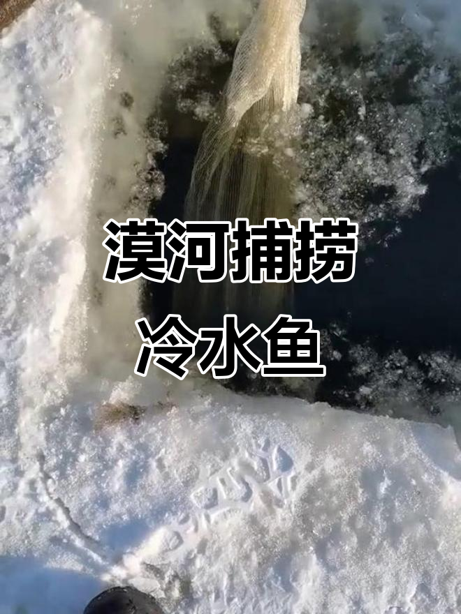 漠河野生冷水鱼大丰收,地笼捕获泥鳅和小鲶鱼