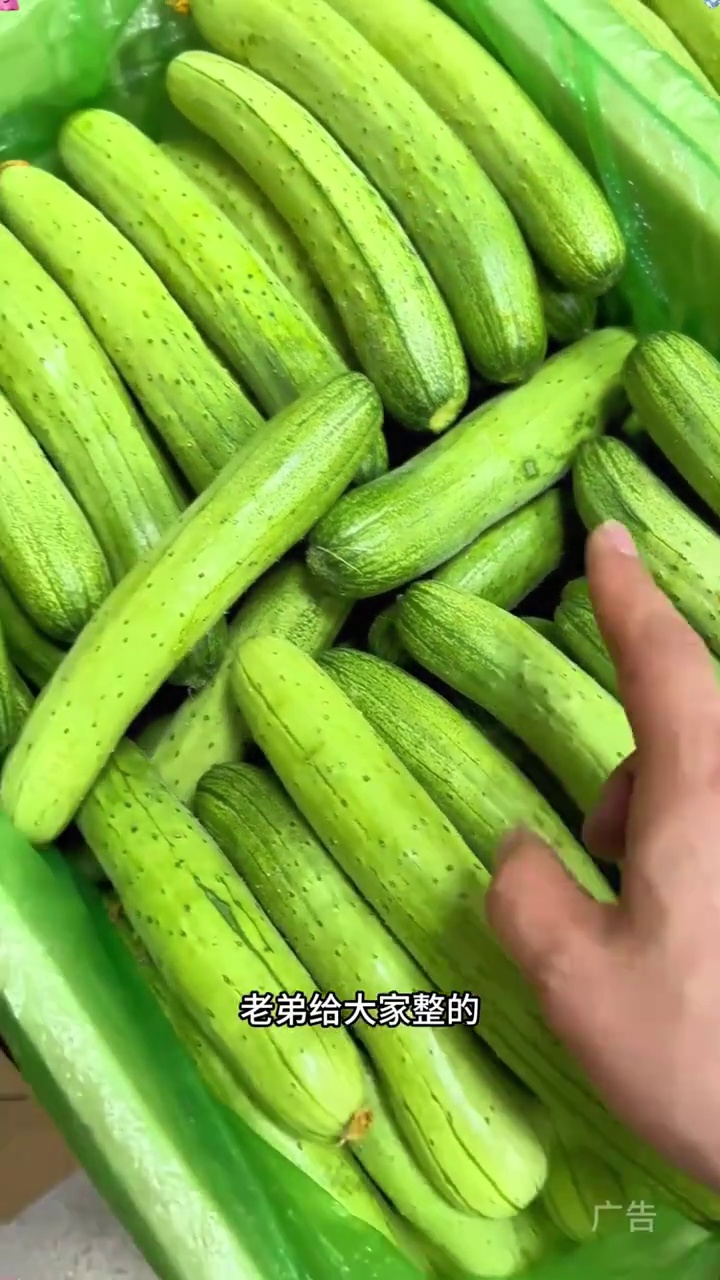 东北长条旱黄瓜 新鲜采摘脆嫩清香黄瓜味 蔬菜 黄瓜 旱黄瓜 东北旱黄瓜