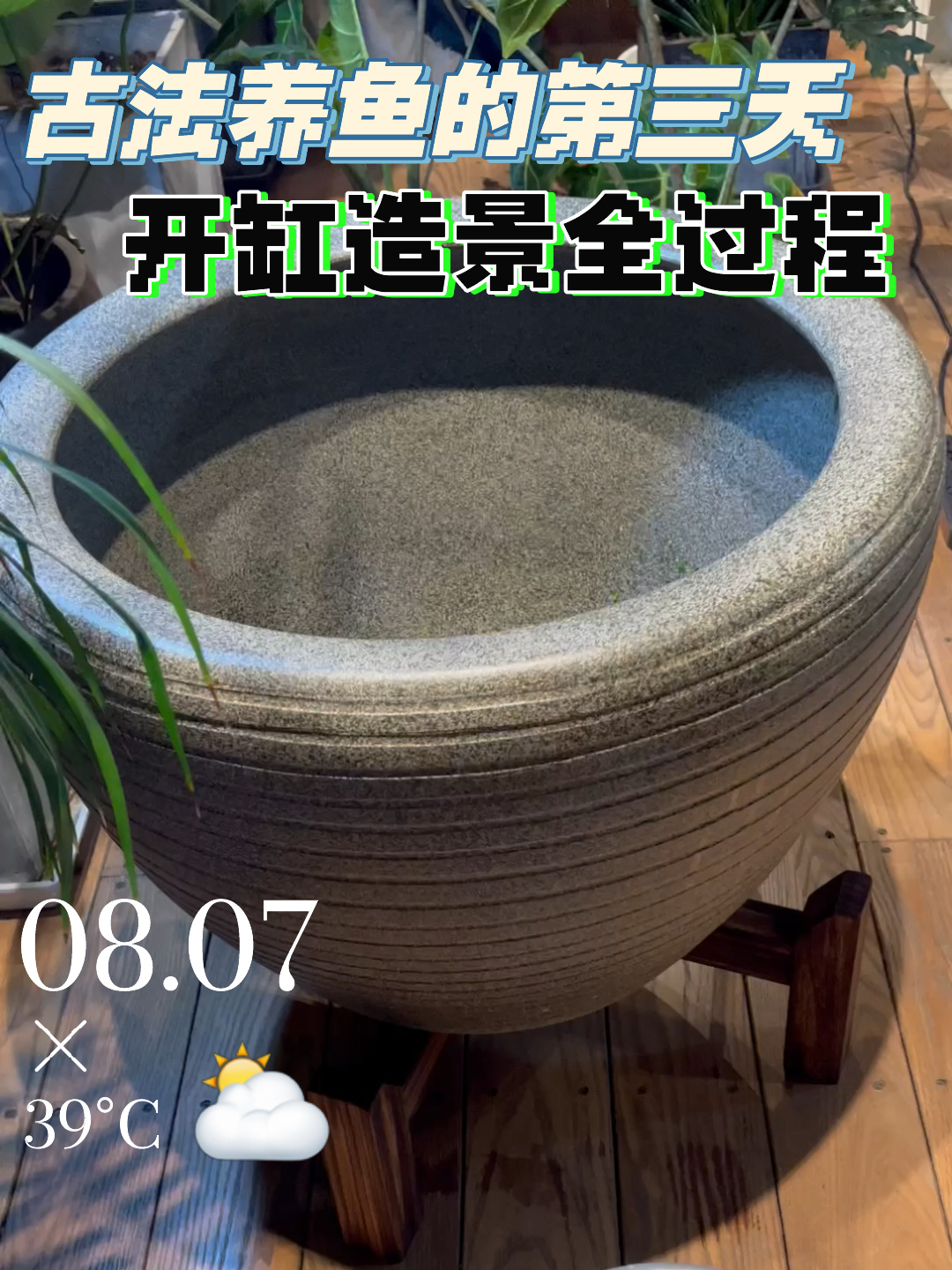 沉浸式古法养鱼第3天·开缸造景全过程