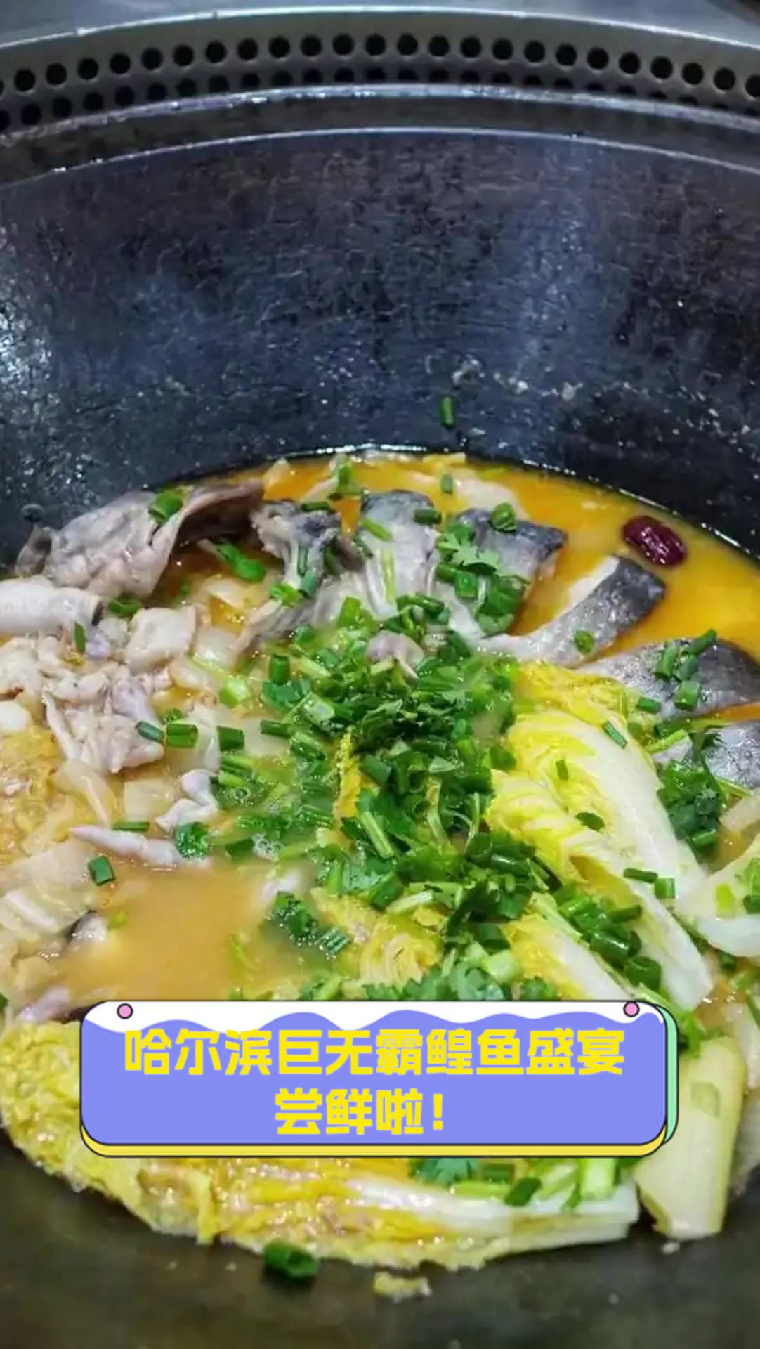 哈尔滨巨无霸鳇鱼盛宴,尝鲜啦!